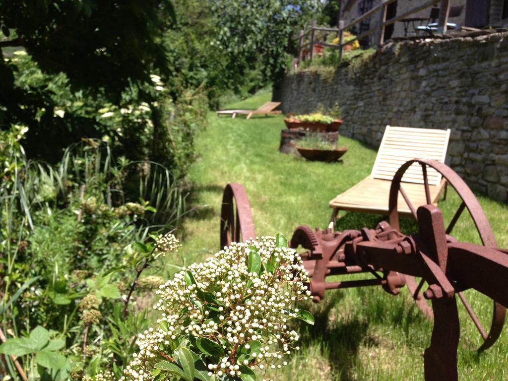 Agriturismo Biologico Castello Della Pieve Mercatello sul Metauro Экстерьер фото